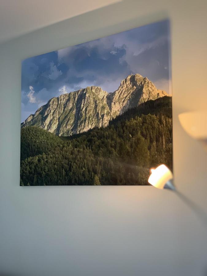 Apartament Lesny Z Kominkiem - Viva Pod Giewontem Apartamenty 扎科帕内 外观 照片