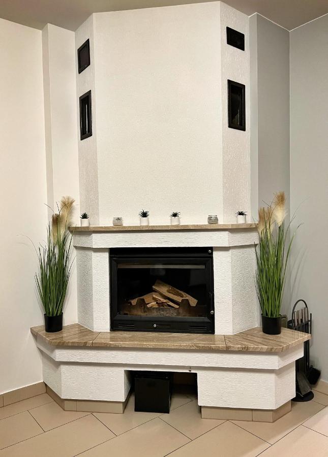 Apartament Lesny Z Kominkiem - Viva Pod Giewontem Apartamenty 扎科帕内 外观 照片