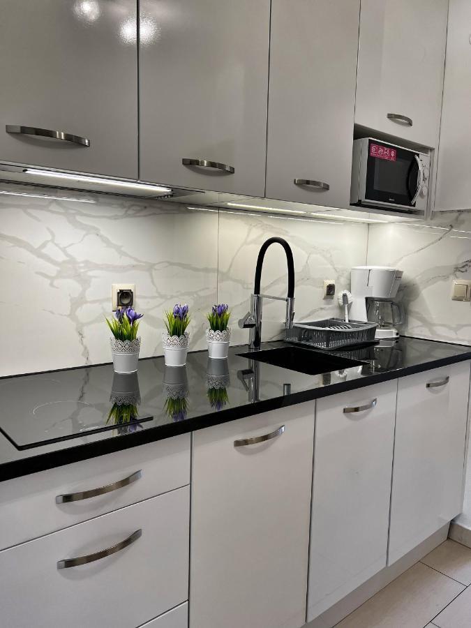 Apartament Lesny Z Kominkiem - Viva Pod Giewontem Apartamenty 扎科帕内 外观 照片